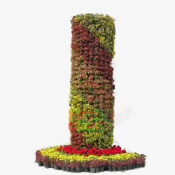 五朔节花柱绿色植物高清图片