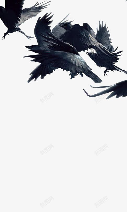 飞舞的乌鸦png免抠素材_新图网 https://ixintu.com 乌鸦 乌鸦飞过 手绘效果 油彩效果 飞舞 鸟