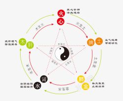 人体与五行五行与内脏高清图片
