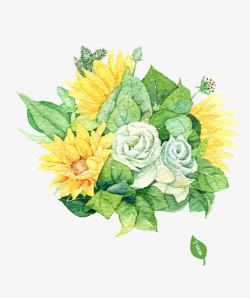 白玫瑰手绘手绘向日葵花朵高清图片