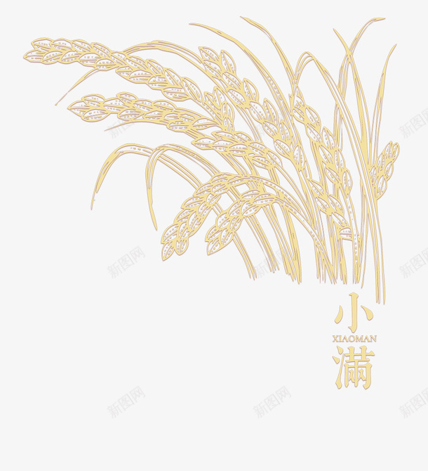 黄色创意麦穗卡通插画png免抠素材_新图网 https://ixintu.com 创意 小满 小麦 生长 纹理 节气 质感 麦穗 黄色