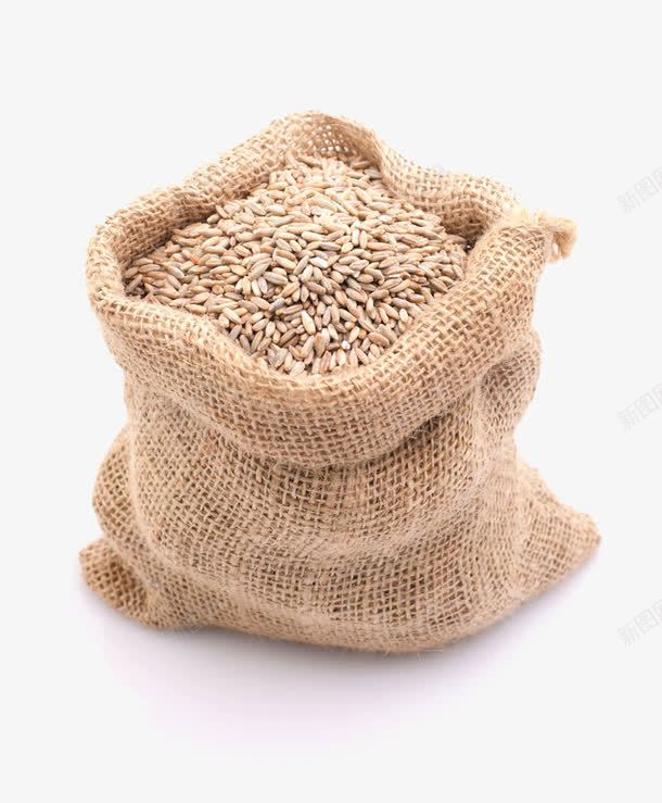 麦子食物png免抠素材_新图网 https://ixintu.com 五谷 实物 小麦 杂粮 稻谷 袋装麦子 食物 麦子