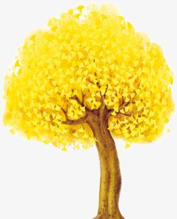 银杏树植物插画素材