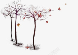 枯萎树木简易秋天树木高清图片