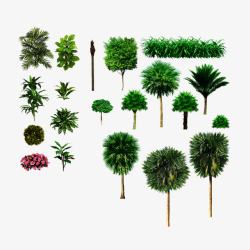 植物裱花造型园林景观高清图片