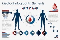 血滴和人体器官信息图表矢量图素材