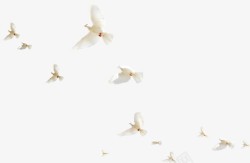白色和平鸽禽类纷飞素材