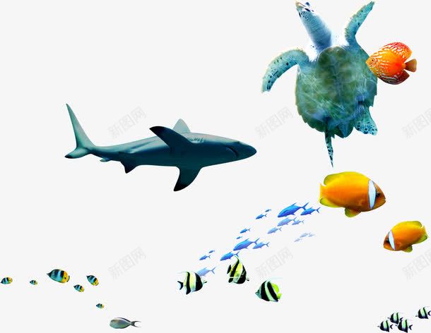 热带鱼大海元素psd免抠素材_新图网 https://ixintu.com joker 三亚风景 小丑鱼 海底 海龟 鲨鱼