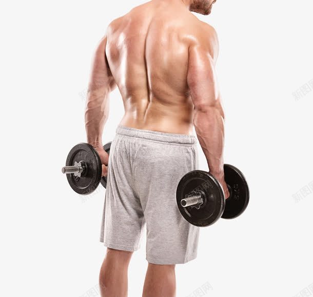 健身肌肉男png免抠素材_新图网 https://ixintu.com 健身 健身房 哑铃 强壮肌肉男 肌肉 肌肉男 身体 运动 锻炼