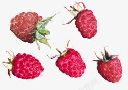 树莓牛奶山梅实物高清图片