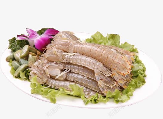 生鲜皮皮虾png免抠素材_新图网 https://ixintu.com 海鲜 生鲜 皮皮虾 食物