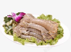 生鲜皮皮虾素材