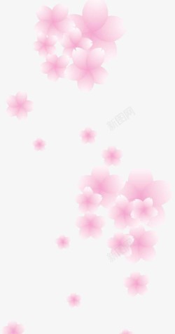飘舞花瓣粉色樱花高清图片