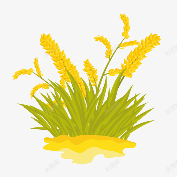 黄色的麦子png免抠素材_新图网 https://ixintu.com 叶子 庄稼 手绘 粮食 金色的 麦子 麦穗 黄色的