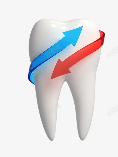 牙齿png免抠素材_新图网 https://ixintu.com 3D牙齿 健康 口腔 牙医 牙科用图
