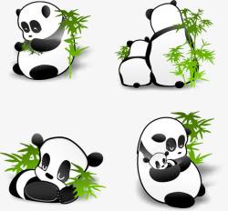 稀有动物熊猫高清图片