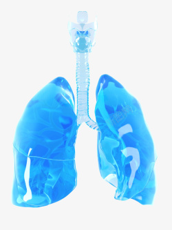 肺插画蓝色肺器官立体插画高清图片