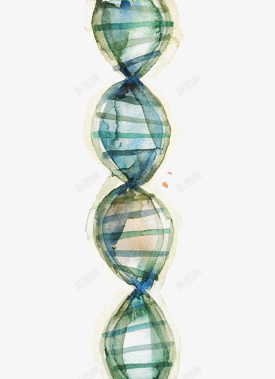 手绘DNA水彩画png免抠素材_新图网 https://ixintu.com DNA 手绘DNA素材 水彩画DNA