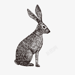 铅笔画的线铅笔画兔子矢量图图标高清图片