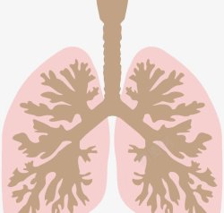 肺和支气管素材