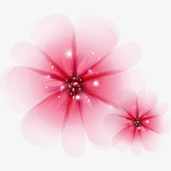 粉色花朵的展放素材