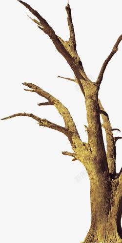 光秃秃的树枝枯树枝枝桠高清图片