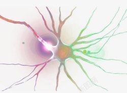 中枢神经系统神经系统神经元示意图高清图片