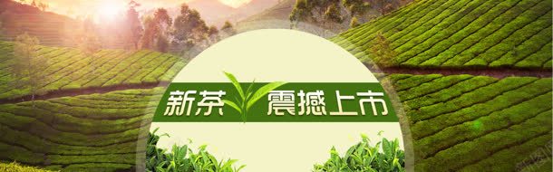 新茶上市bannerjpg设计背景_新图网 https://ixintu.com 中国风 茶叶海报 茶园 行业网站 震撼