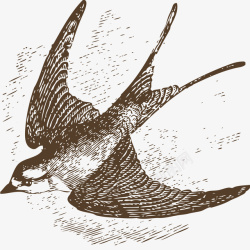 手绘空中飞行的燕子矢量图素材