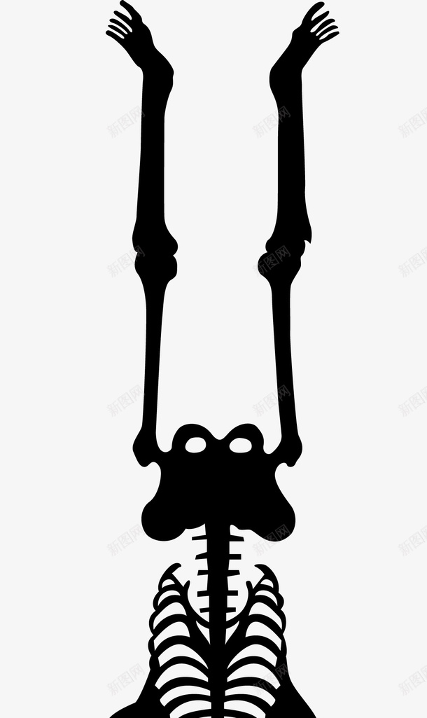 倒立的完整男性骨架矢量图图标ai_新图网 https://ixintu.com 人体 人类的骨头 人类骨骼 倒立 完整的骨骼 男性骨骼 矢量图 骨头人 骨骼 黑白骨架