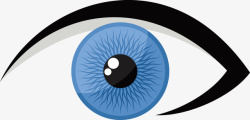 一只眼睛的动物一个戴了蓝色美瞳的眼睛矢量图高清图片