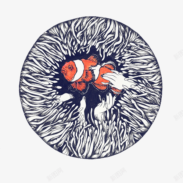 海葵与鱼psd免抠素材_新图网 https://ixintu.com 海葵 海葵图片 海葵鱼 被海葵包围的鱼 鱼的素材