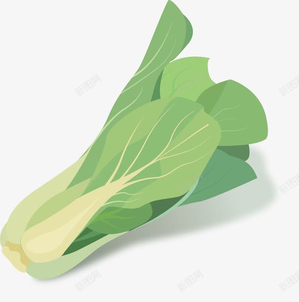 手绘蔬菜png免抠素材_新图网 https://ixintu.com 上海青 烹饪 菜类图片 青菜 食物