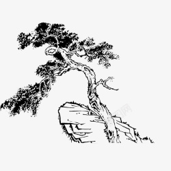 一棵古树悬崖上成长的古树手绘图高清图片