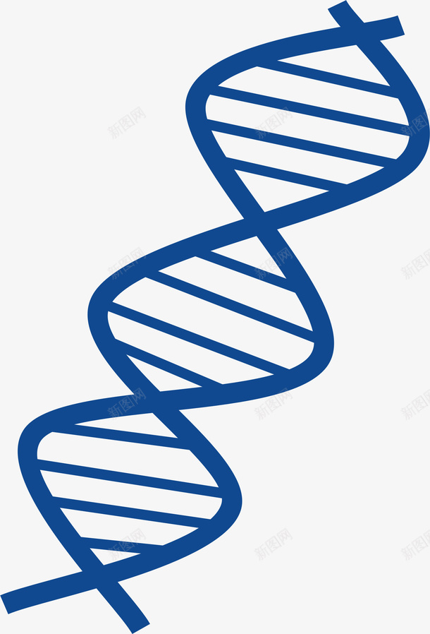 手绘DNA分子图png免抠素材_新图网 https://ixintu.com DNA分子图 DNA结构图 免抠图 抠图 插画 装饰画