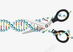 阆椾紶剪刀DNA分子高清图片