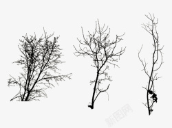 矢量枯树乌鸦死树三种不同的枯树矢量图高清图片