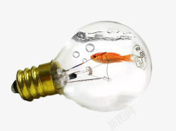 小鱼吐泡泡灯泡里的小金鱼高清图片