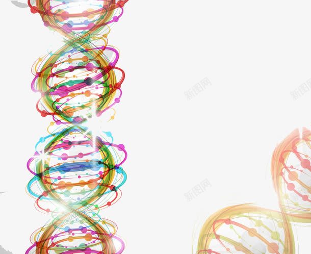 彩色染色体和细胞png免抠素材_新图网 https://ixintu.com DNA 基因 彩色染色体和细胞 染色体 高清免扣素材