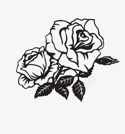 玫瑰花黑白两朵黑白玫瑰花矢量图高清图片