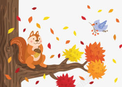 秋天落叶树枝松鼠矢量图素材