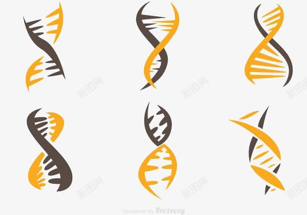 双人间螺旋图标psd_新图网 https://ixintu.com 生物图标矢量 螺旋 遗传分子双人间