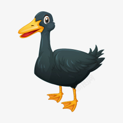 一只鸭子黑色鸭子高清图片