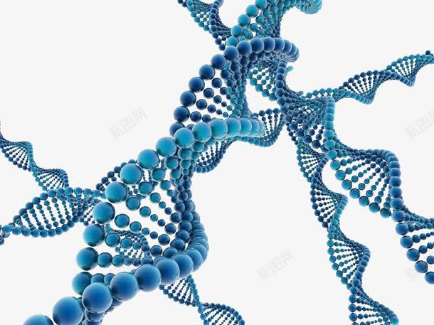 基因png免抠素材_新图网 https://ixintu.com 健康 医疗 基因 基因链 治疗 药品 药品封面