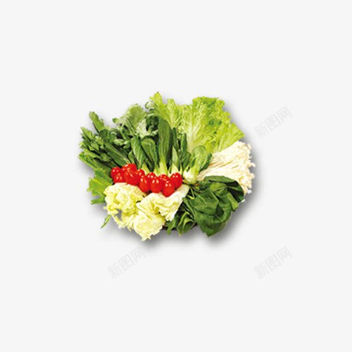 蔬菜png免抠素材_新图网 https://ixintu.com 油麦菜 火锅 白菜 蔬菜拼盘