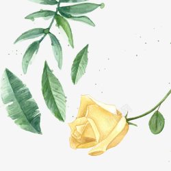 黄色玫瑰花卡通手绘素材
