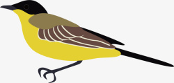 水彩小鸟设计可爱的麻雀矢量图高清图片