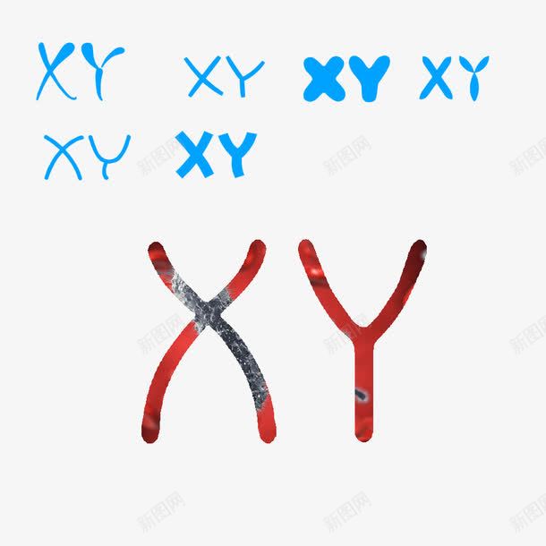 无创XYpng免抠素材_新图网 https://ixintu.com 基因 干细胞 无创DNA 无创XY 染色体 高清免扣素材