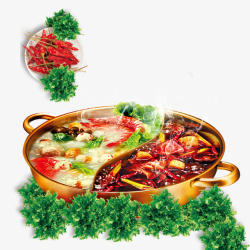 小鸡蘑菇汤香菜绿色红色红汤火锅高清图片