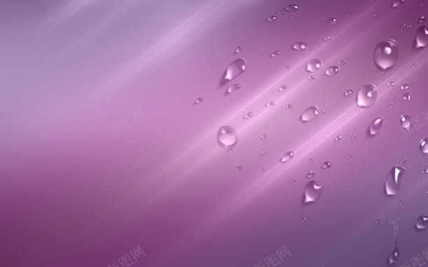 淡紫色的水滴背景背景图片免费下载 素材7nqwgjqap 新图网 淡紫色的水滴背景背景图片免费下载 素材7nqwgjqap 新图网